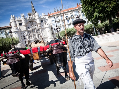 carreteros_burgos