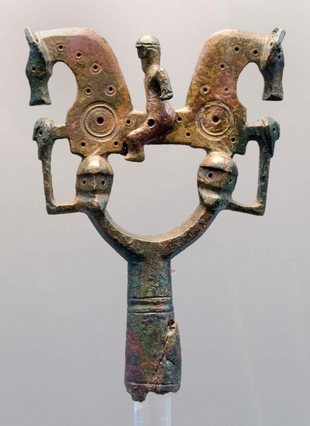 Baculo_Numanmcia
