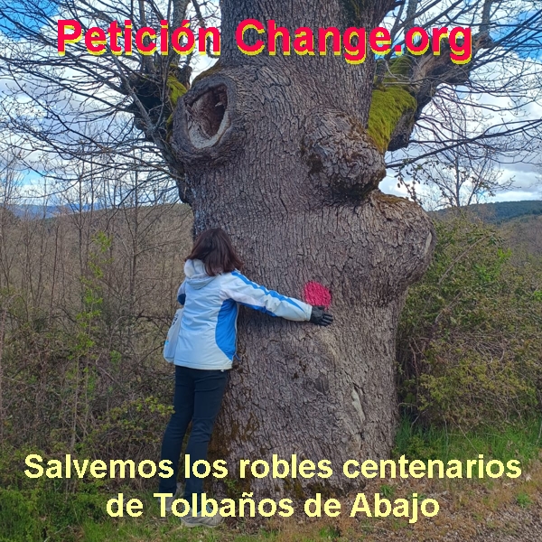 Guerreros pelendones y bandera
